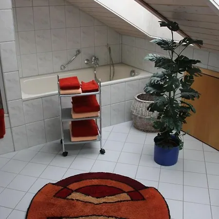 Tatil Evi Aachblick